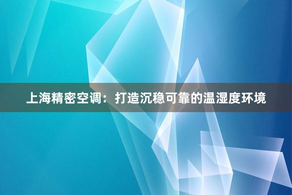 上海精密空调：打造沉稳可靠的温湿度环境